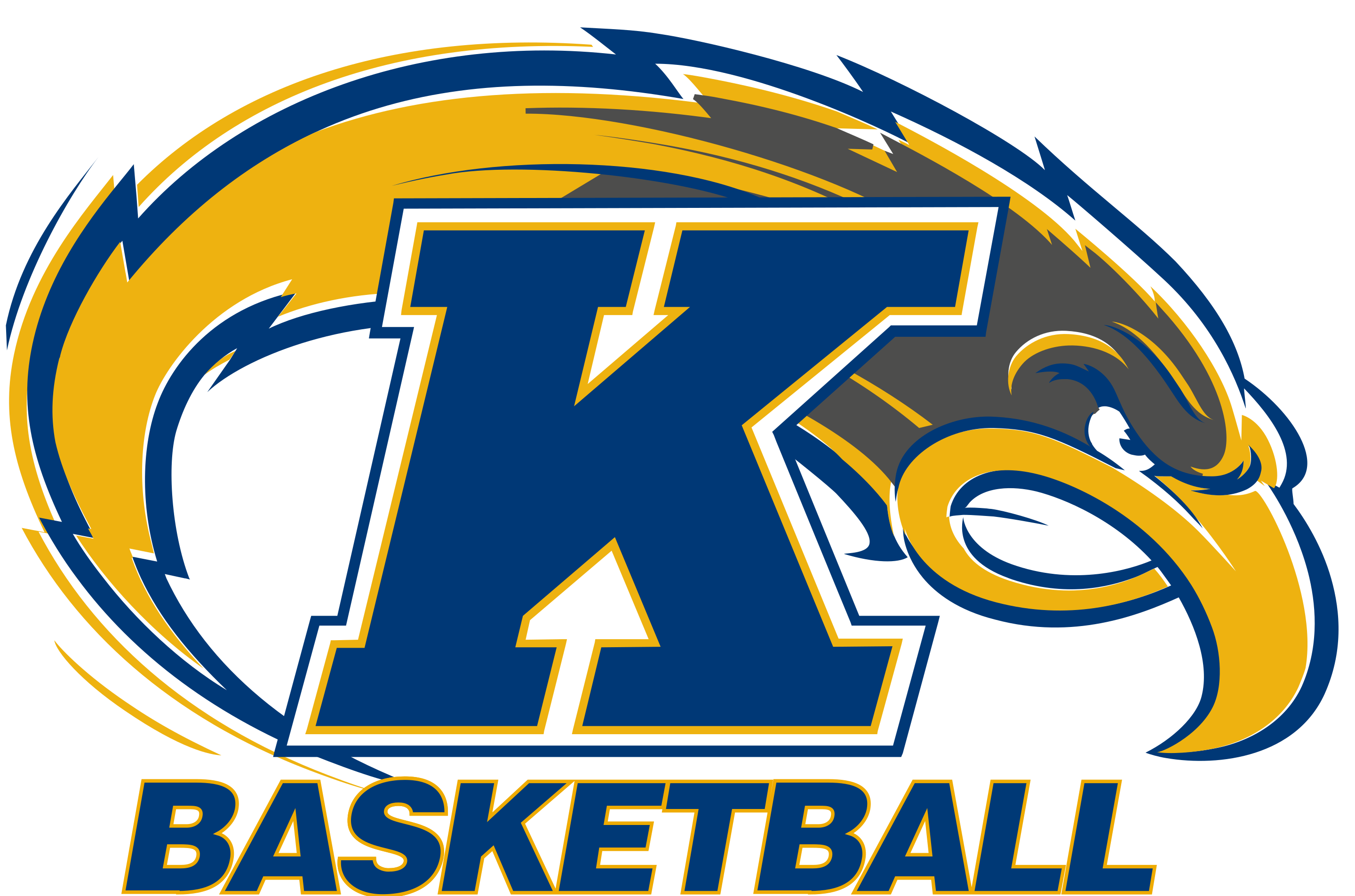 Programme TV Kent State Golden Flashes