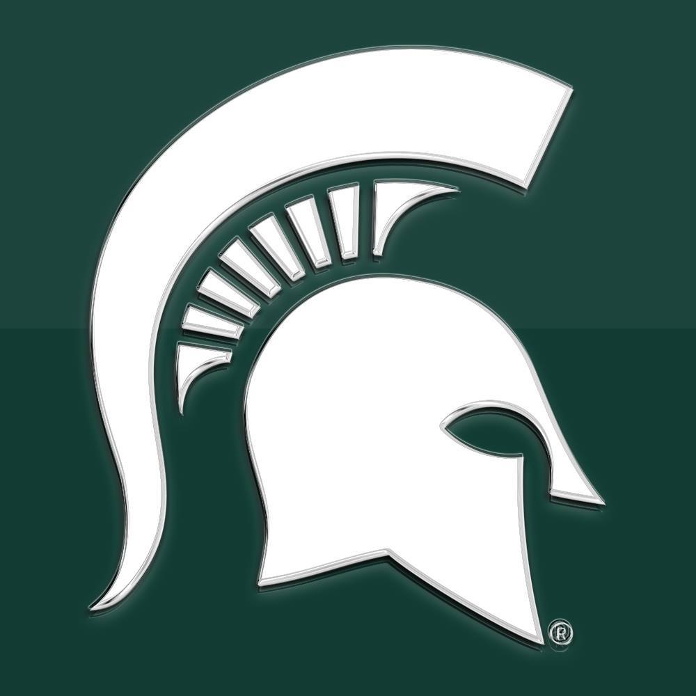 Michigan State